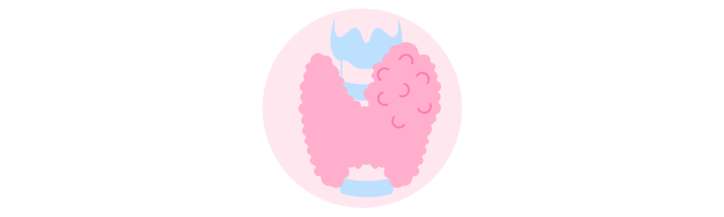 Thyroid nodules and cancer