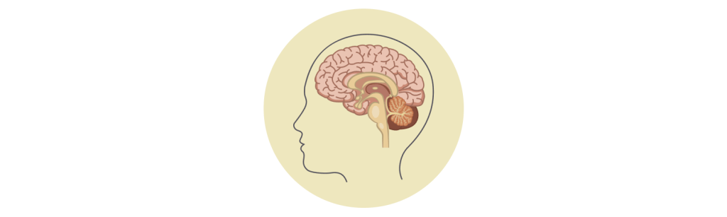 Pituitary Conditions
