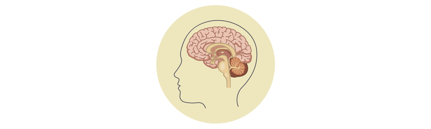 Pituitary Conditions